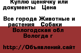 Куплю щенячку или документы › Цена ­ 3 000 - Все города Животные и растения » Собаки   . Вологодская обл.,Вологда г.